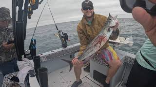 Awesome Half Day Charter Catching King Mackerel, Topsail Island NC