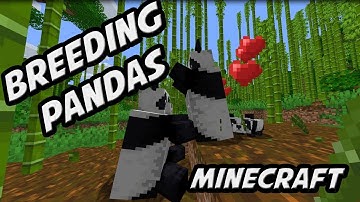 Minecraft How To Breed Pandas - Quick Tip Tutorial