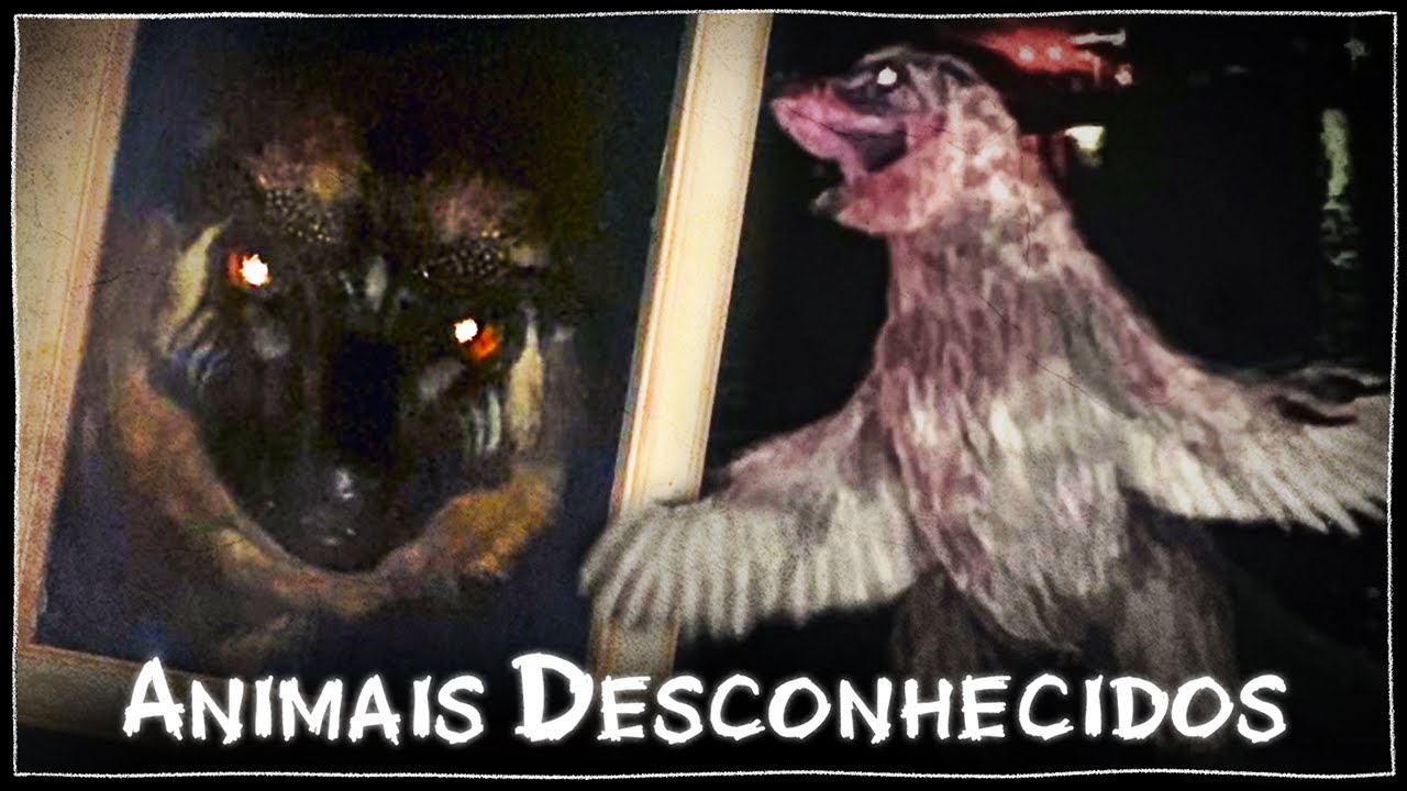 ANIMAIS ESTRANHOS: 1º TEMPORADA COMPLETA