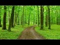 Studying Music for Concentration, Music for Stress Relief, Brain Power, Study, Focus, Relax, ☯3167