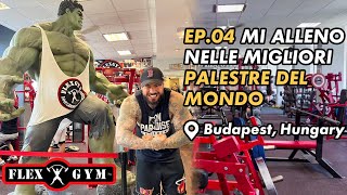 MI ALLENO NELLE MIGLIORI PALESTRE DEL MONDO |EP:04  FLEX GYM