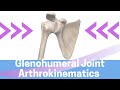 Shoulder Kinesiology: Glenohumeral Joint Movements