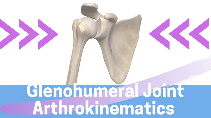 Shoulder Kinesiology: Glenohumeral Joint Movement