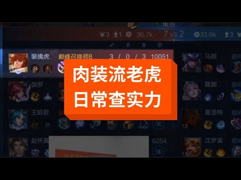 无念的肉装流老虎？特定阵容的胖虎！