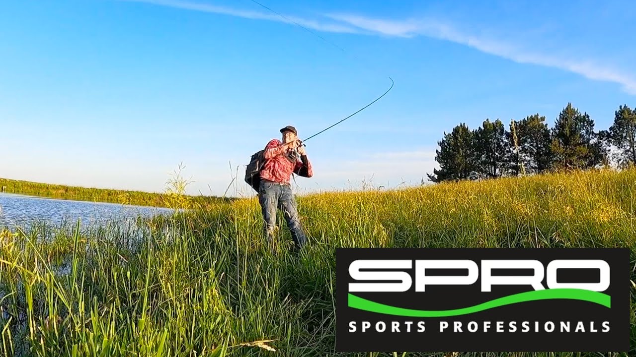 Top water Bass Fishing (Spro Poppin Frog)