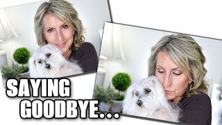 Saying Goodbye to Gracie - My Maltese Rescue Dog