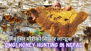 Honey Hunting in Nepal | Landruk Honey Hunting Festival | Hallucinate-Honey | Honey Hunter | Day-02 screenshot 3