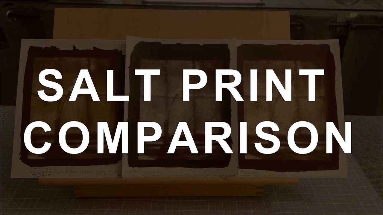 Salt Print Comparison + Hybrid Pigment Ink Print - Pictorial Whispers, Plate No. 1