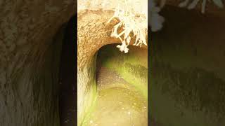 Entoto Raguel Church – The Birthplace of Addis Ababa | Must Visit