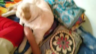 Best Friend Thara Comedy