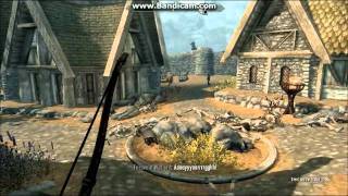 The Elder Scrolls V Skyrim: How to Spawn npc's The Elder Scrolls V Skyrim: How to Spawn npc's