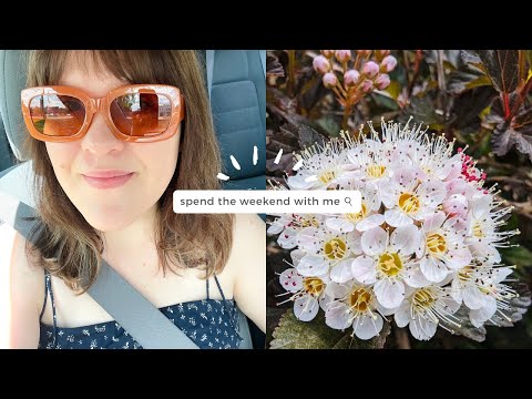 spend the weekend with me | vlog