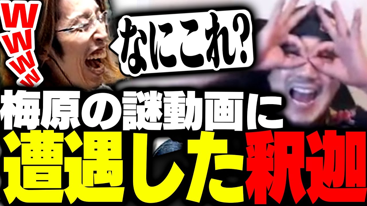 梅原大吾の謎動画を見て大爆笑した話をする釈迦