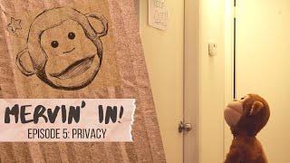 Mervin' In Episode 5: Privacy
