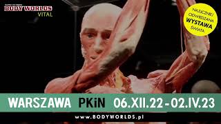 Wystawa BODY WORLDS – VITAL od 6 grudnia 2022 w PKiN, w Warszawie!