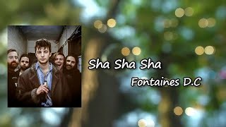 Fontaines D.C. - Sha Sha Sha  Lyrics