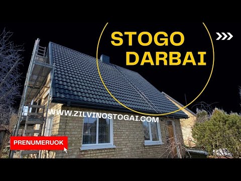 Video: Maigi stēla! Visneparastākie paklāji interjeram