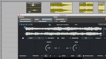 TRAVELER Introductory Tutorial