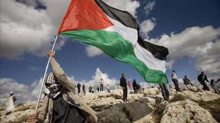 Freedom Palestine (Maher Zein Music)