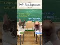 POV: Your Superpower: 😹😹 #catmemes #relatable #memesphobiaworld!