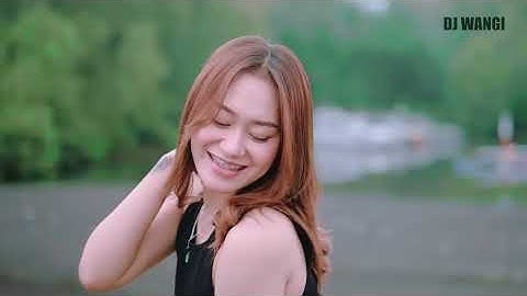 Dj Pantun Janda - Vita Alvia (Official Music Video)