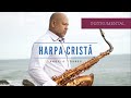 CLÁSSICOS HINOS DA HARPA CRISTÃ INSTRUMENTAL SAX - Angelo Torres #harpacristã