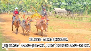 Download Lagu ELANG MIRA/ SELLOR || SANG JUARA THN 2026 JEJEL LGPI #shortvideo #trending #viral  MP3