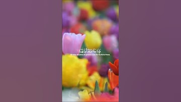وقضينا إلى بني إسرائيل #سورة#الاسراء#الاية ٤_٦ #القارئ#ياسر_الدوسري #تلاوة_خاشعة #ارح_سمعك