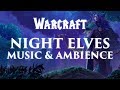 Warcraft Music & Ambience | Night Elf Forest