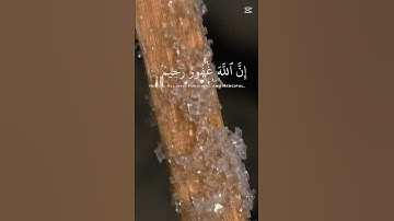 #قران_كريم #تلاوة_خاشعة #راحة_نفسية #استغفر_الله