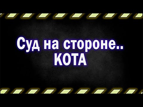 8. Делить было нечего, кроме кота...
