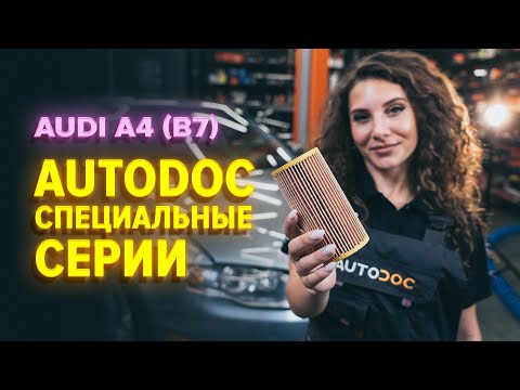 Как заменить моторное масло и масляный фильтр на AUDI A4 B7 Седан [ВИДЕОУРОК AUTODOC]