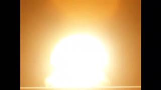 Bee Movie Wtf Boom 3