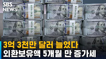 외환보유액 5개월 만에 증가세 3억 3천만 달러 SBS