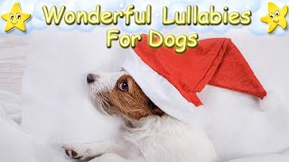 Dog Music For A Deep And Relaxing Sleep 🎅🏼 Calm Your Dog Effectively 🎄 Christmas Carol