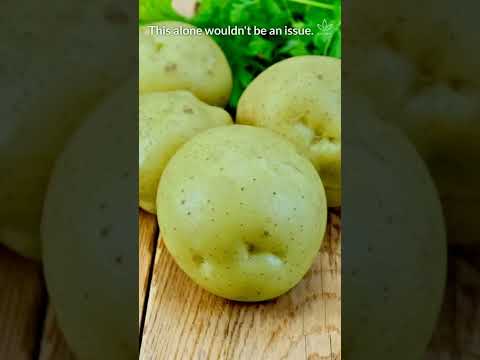 فيديو: Aster Yellows in Potatoes - نصائح حول علاج البطاطس بأصفر أستر