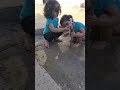 كانو التوائم اول مرة يلعب بالمي