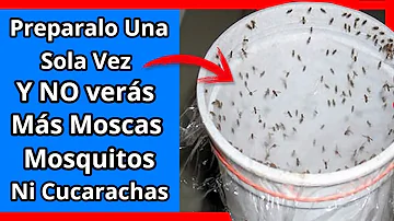 ¿Qué es lo que mejor mata a los mosquitos en casa?