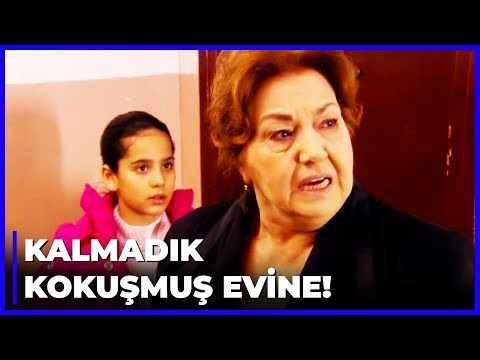 Ev Sahibi, Tekinleri