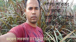 খাদ্যের খরচ কমান
