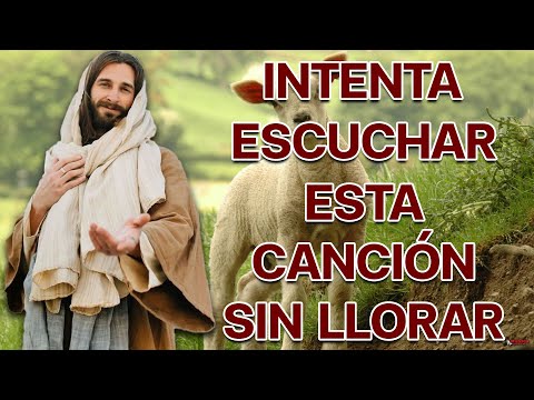 Llévate Mi Tristeza 1 Hora Música De Oracion Padre Chelo De Música Católica - Música Católica 2023