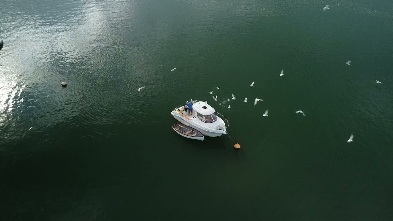 Devon Valley Shaldon