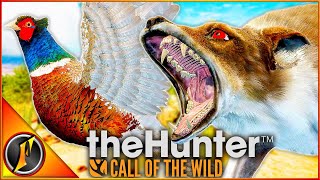 TWO of Rancho's Coolest Trophies BACK TO BACK! | theHunter Call of the Wild