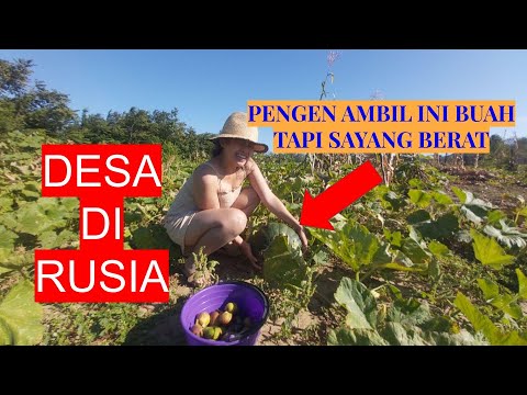 Video: Kota-kota Terlantar Di Rusia, Mengapa Mereka Menjadi Seperti Ini