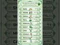 daily use english conversation for beginners