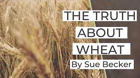 The Truth About Wheat by Sue Becker | Bread Becker...