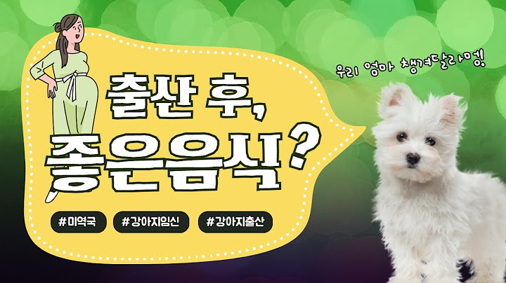 [펫공감series18]출산 후 강아지 미역국 챙겨주고 싶다면, 이건 조심하세요!