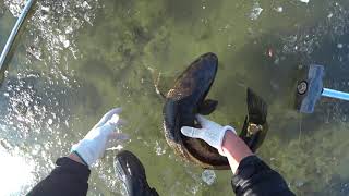 catch a giant worm on the ice