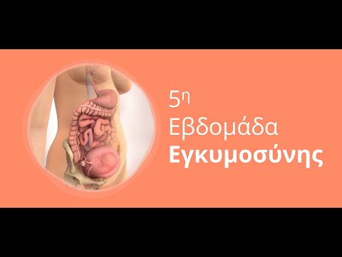 Βίντεο: Πώς είναι η 5η εβδομάδα της εγκυμοσύνης