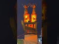 Die Rentiere 🦌🦌 #short